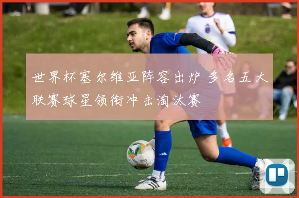 世界杯塞尔维亚阵容出炉 多名五大联赛球星领衔冲击淘汰赛