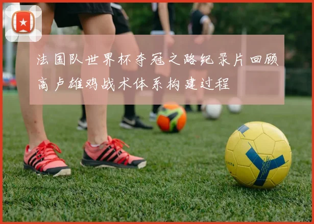 法国队世界杯夺冠之路纪录片回顾高卢雄鸡战术体系构建过程