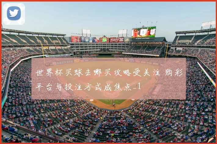 世界杯买球去哪买攻略受关注 购彩平台与投注方式成焦点_1