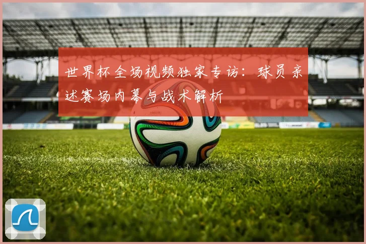 世界杯全场视频独家专访:球员亲述赛场内幕与战术解析