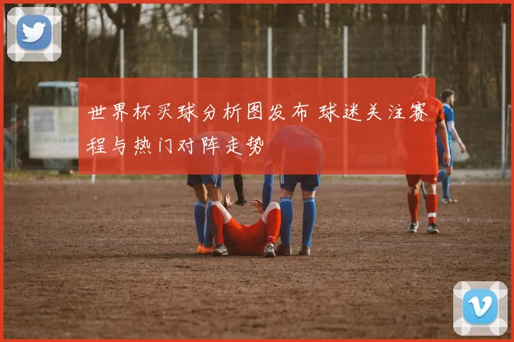 世界杯买球分析图发布 球迷关注赛程与热门对阵走势